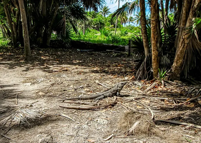Studio @ Mestiza, 307B Tulum